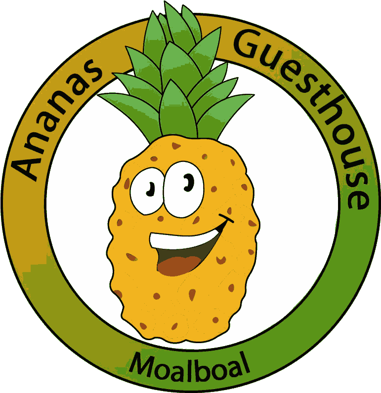 Ananas Guesthouse